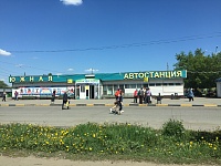 Входная группа Южная Автостанция Ижевск.  Маяковского,  47